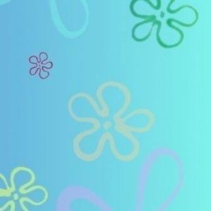 Meet your Posher, Cassidy